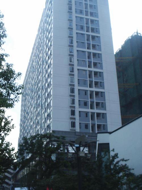 ������ͤ